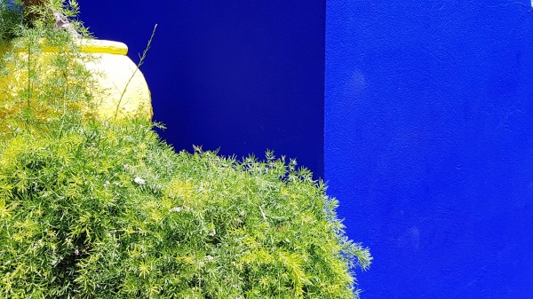 Marrakech on Blue Majorelle by Locspics